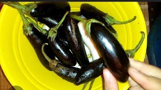 طريقة تخزين الباذنجان الابيض والاسمر للمحشي بطريقه رائعه لمدة سنة(تفريزات رمضان) الحلقة 131 من