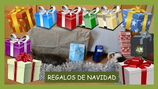 LOS REGALOS DE NAVIDAD DE LOS ANIMALES Y SU REACCIÓN | ¿HAN SIDO BUENOS ESTE AÑO? | LA GATA VEGANA