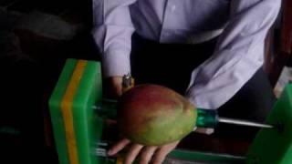 Funcionamiento Peladora de Mango