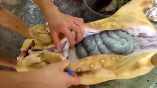 Разделка свинной тушки с секретом.Cutting pork carcass with a secret.