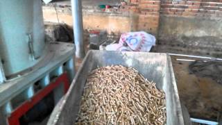 Pelletizing line,wood pelletizing machine,wood pelleting plant sawdust pellet machine
