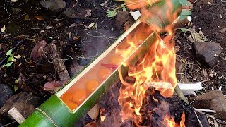 Easy Ideas for Cooking Eggs in Bamboo Tube in the Forest