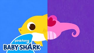 Have You Ever Seen Shark’s Tail? | Baby Shark Dance and Song 