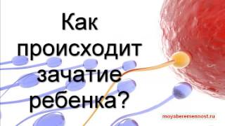 Как происходит зачатие ребенка?