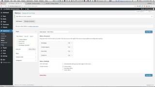 Custom CSS for a single Divi Menu item