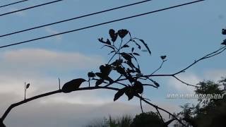 НЛО Лучшие съемки