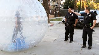 GIANT ZORB BALL vs. HOLLYWOOD