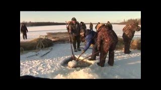 Мунха - зимняя рыбалка неводом. Выпуск 27. (2009 г.)