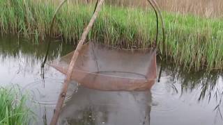 Ловля риби на паук.