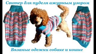 Свитер для пуделя ажурным узором Павлинье перо