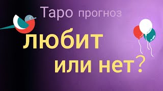 ЛЮБИТ ОН МЕНЯ ИЛИ НЕТ Таро прогноз онлайн гадание на картах Таро asmr видео Hygge