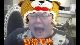 【PDD】狗熊：无限火力熊霸天下，狗熊先下饭后起飞，肉的一批的同时伤害还高！