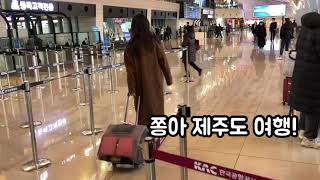 강아지 제주도 여행!  캐리어 추천, 백팩도 가능하고요^^  대한항공 일반석 , 비지니스석 차이 업뎃 예정