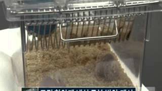 표적 항암제 내성 극복 방안 제시 / YTN 사이언스