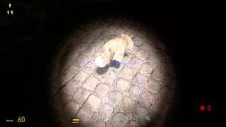 Co-op Half-Life 2: Synergy [Бюст! Бюст!! БЮСТ!!! 3\4]