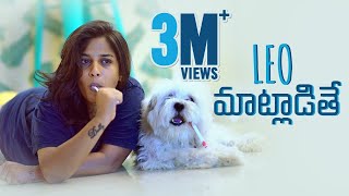 Leo Maatladithe - If Pets Could Talk || Mahathalli || Tamada Media
