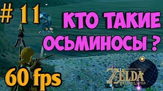 ПРОХОЖДЕНИЕ The Legend of Zelda: BotW cemu emulator [pc 1080p HD 60FPS] на пк #11