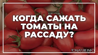 Когда сажать томаты на рассаду? | toNature.Info