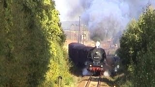 Expressgut-Zug mit Dampflok 03 2204-0 / Dampfzüge mit 03 1010-2 u. 03 2204-0 wie zu Reichsbahnzeiten