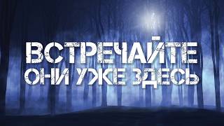 Корма Monge ( Монж) для собак и для кошек