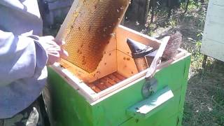 Как отобрать рамки с медом и процесс откачки