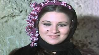 بعد محروس مامشى من المنطقة  حميده بتلف وتدور على بيومى