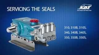 Servicing Seals - Cat Pumps Model 310, 340, 350, 30, 31, 34, 35