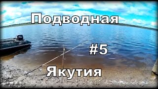 Подводная Якутия #5 Ловля осетра на донку.