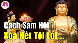 Học Cách SÁM HỐI TỘI LỖI Để Giảm Bớt Nghiệp Khổ Đau (Nghiệp Nặng Thành Nhẹ) - Vi Diệu Pháp