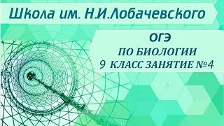 ОГЭ по биологии 9 класс.  Занятие 4. Ткани животных ( человека).