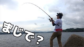 え？・・・ルアーでこれが釣れるの！？ショアジギング