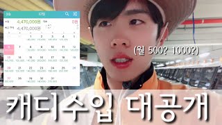 캐디는 얼마나 벌까? 캐디수입 대공개
