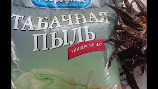 ЧТО Я БУДУ ДОБАВЛЯТЬ В ЗЕМЛЮ ОТ ВРЕДИТЕЛЕЙ СРАЗУ ПРИ ПОСЕВЕ ЛУКА. Ольга Чернова.