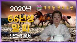 2020년 운세보기 1966년생 55세 말띠 병오생