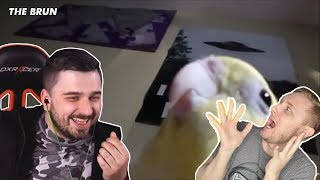 HARD PLAY, JOVE и ALINA RIN смотрят ПОПРОБУЙ НЕ ЗАСМЕЯТЬСЯ ЧЕЛЕНДЖ