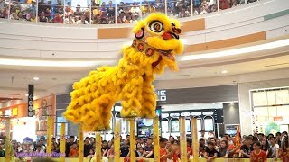 Múa Lân thi Giải Lân Sư Rồng Cup Number 1 đoàn LSR Tâm Hoa Đường 2020