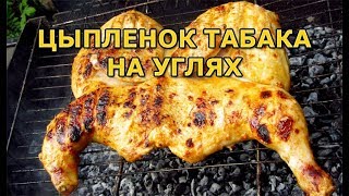Цыпленок табака на мангале