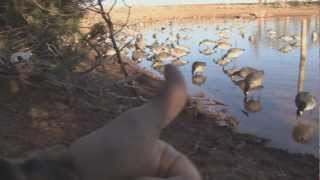 RNT Calls RNT V The Fall Webisode 2_2012 HD
