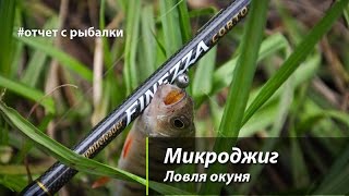 Микроджиг. Ловля окуня