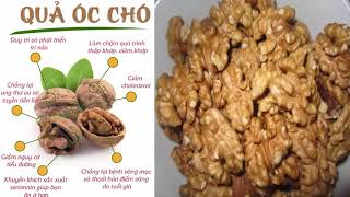 Quả óc chó, với nhiều công dụng tốt cho sức khỏe chúng ta, ... Nhận dạng cây thuốc