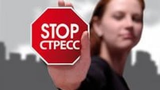 Стресс  Враг Вовремя Приема Пищи