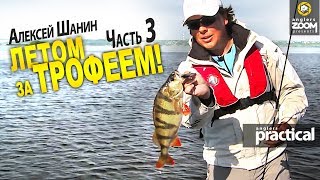 Летом за трофеем! Часть 3. Щука и окунь на минноу. Алексей Шанин.