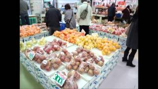 【道の駅】田原市めっくんはうす