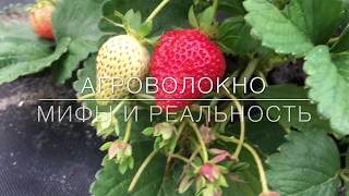 АГРОВОЛОКНО: плюсы и минусы, мифы и реальность .