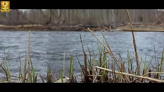 Nature Sounds - Sound of the River, 3 Hours of Peaceful Sleep