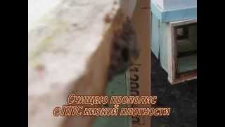 Счищаю прополис с ППС
