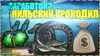 РР3 НИЛЬСКИЙ КРОКОДИЛ | КАК ВАРИАНТ НОВОГО ЗАРАБОТКА