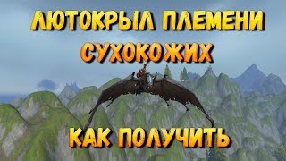 Как получить или Где падает Лютокрыл племени Сухокожих wow. Редкие маунты wow. World of Warcraft.