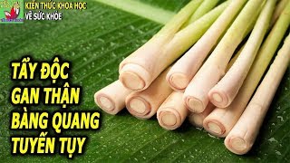 THẢI SẠCH ĐỘC TỐ TRONG GAN THẬN BÀNG QUANG THEO CÁCH CỦA DANH Y CHIA SẺ
