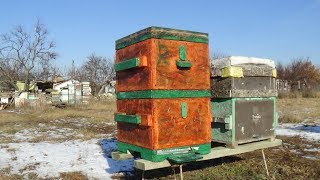 Мой улей с OSB спустя четыре сезона, пасека